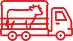 Gestión de Transporte