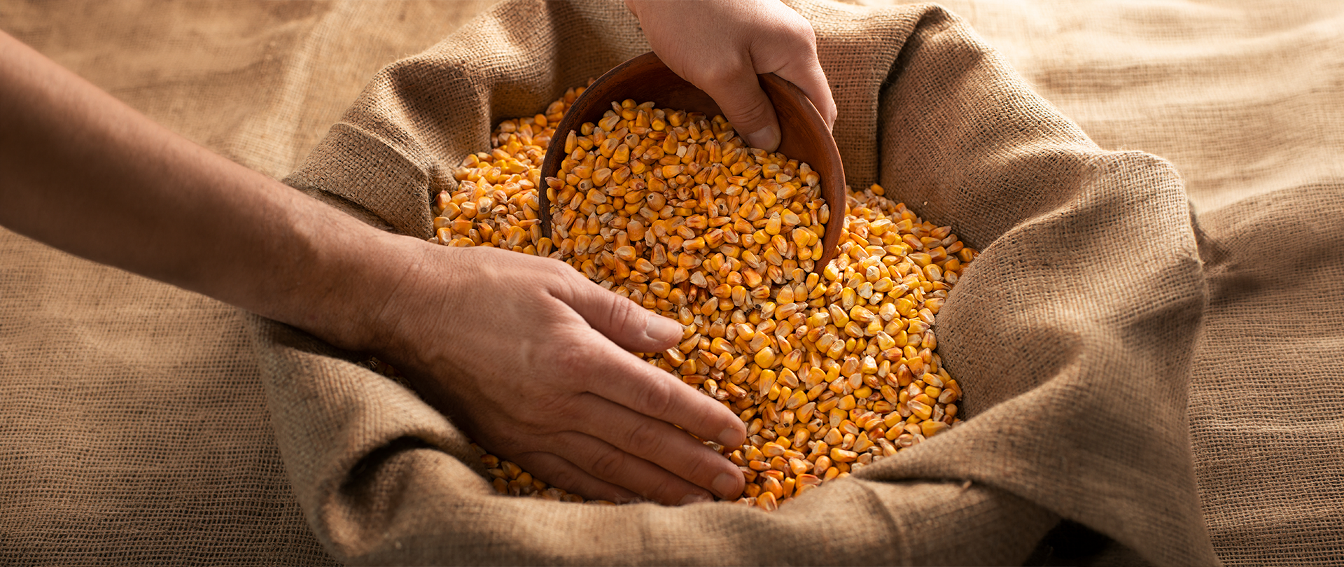 Conflictos en Ucrania e Irán aumentan los precios del maíz y la soya