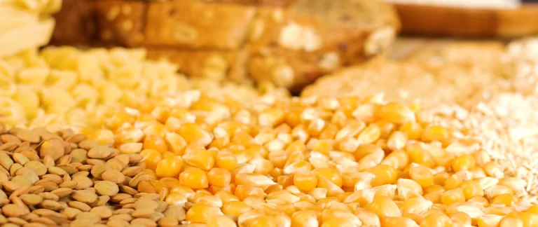 Importaciones de granos de México crecen 6% en 2026; compras de maíz y soya aumentan