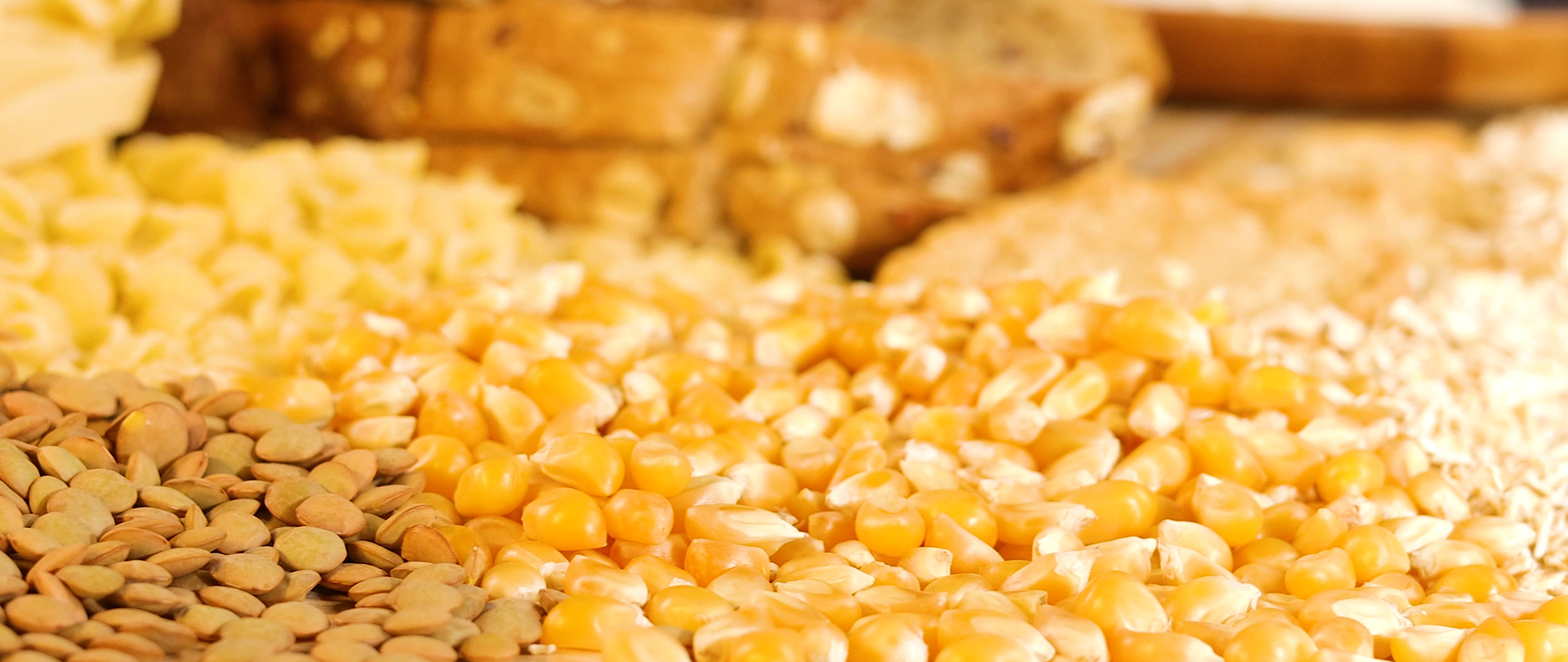 Importaciones de granos de México crecen 6% en 2026; compras de maíz y soya aumentan