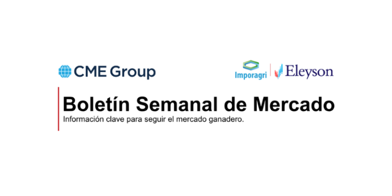 Boletín Semanal de Mercado del 21/09/2026 al 28/09/2026