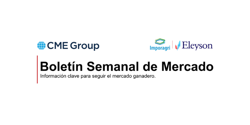 Boletín Semanal de Mercado del 14/09/2026 al 21/09/2026